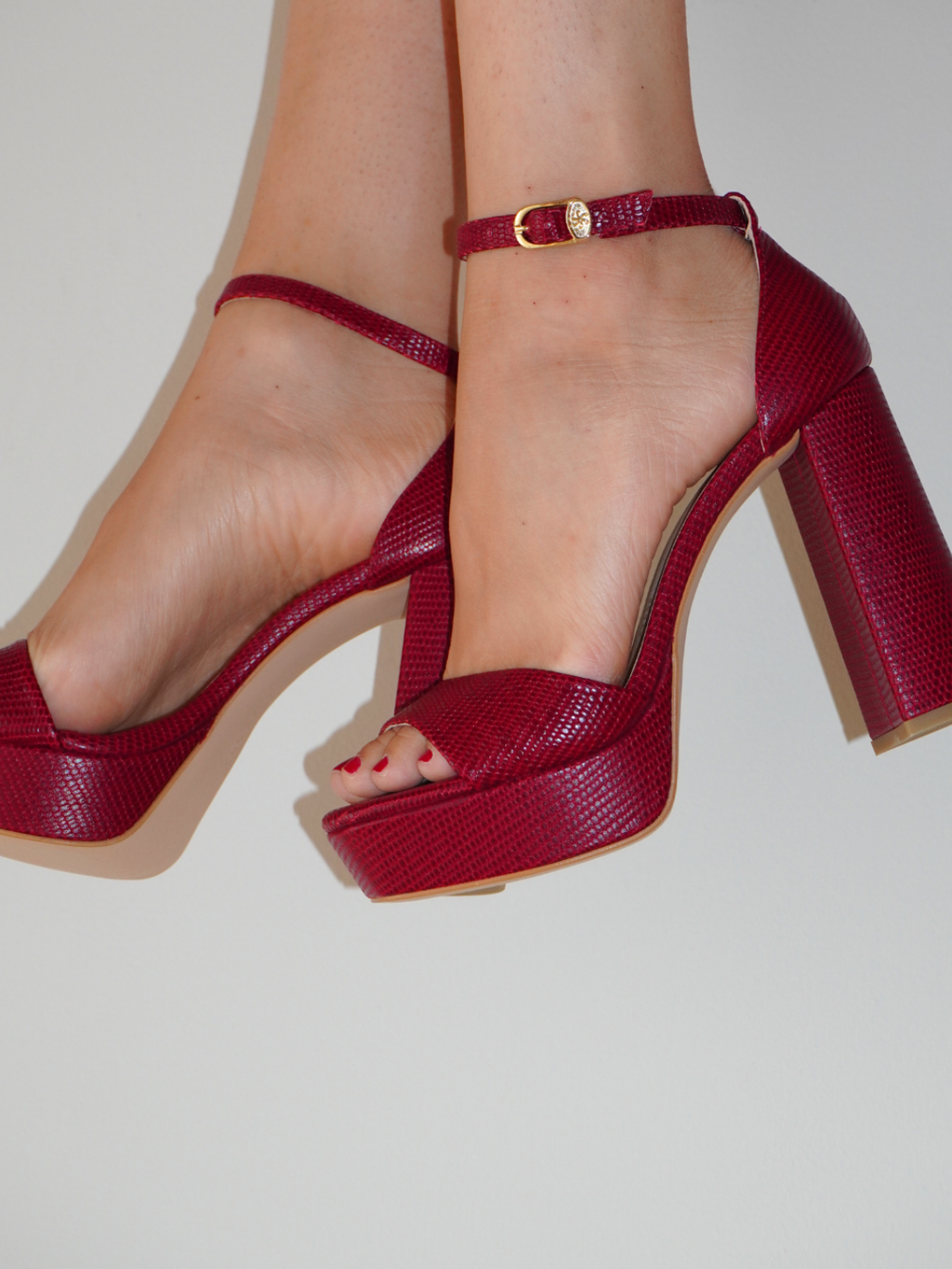 THE LUCIA